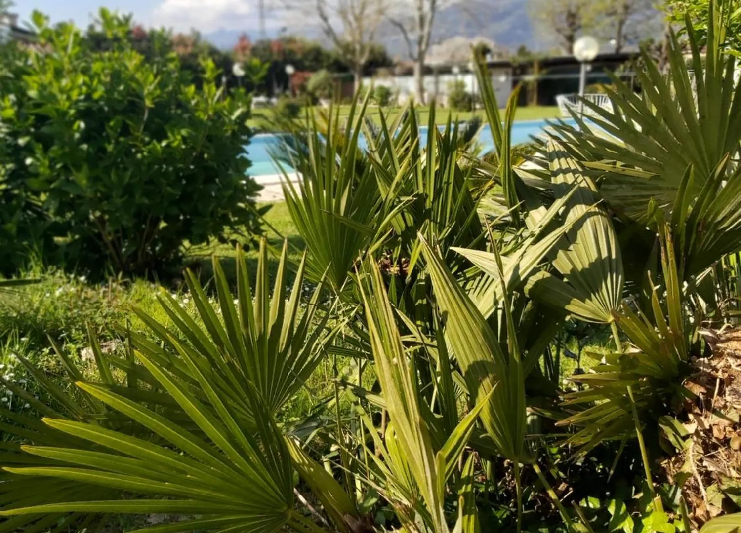 Villa Fioccomare Camaiore