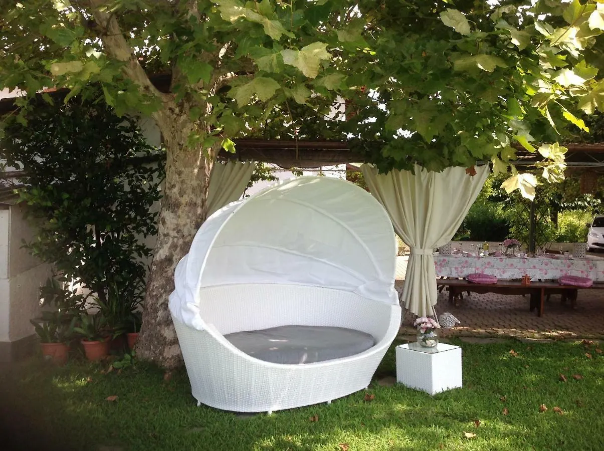 Apartment Villa Fioccomare Camaiore